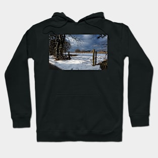 Winter sun, South Wales Hoodie